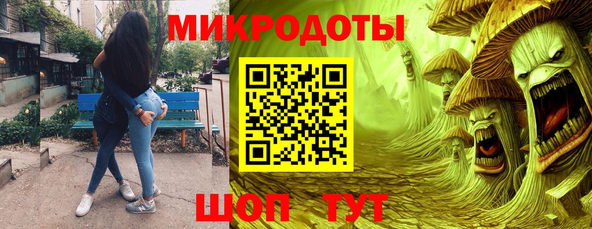 Галлюциногенные грибы Psilocybe Сухой Лог